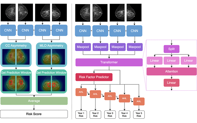 Researchers Develop Deep Learning Model to Predict Breast Cancer