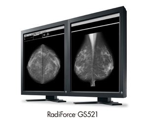 eizo gs521