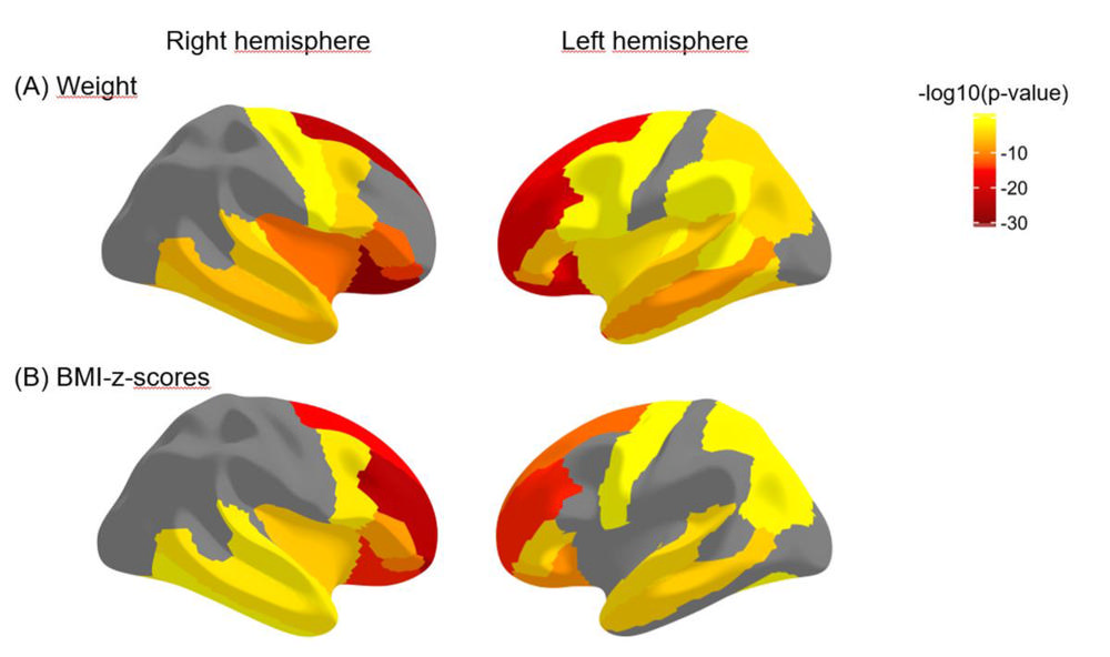 Brain Health Across Lifespan, Neurodevelopmental Disorder Prevention