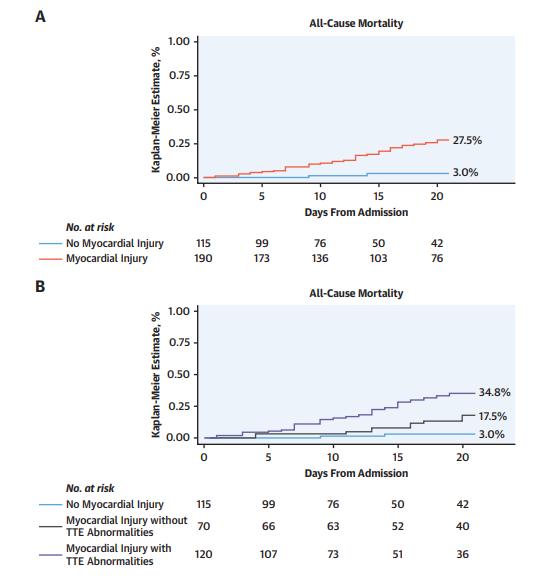 Ultrasounds Show Impact Of Covid 19 On The Heart Imaging Technology News