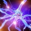 PET Scans schizophrenia