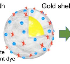 Iron Outperforms Gadolinium as MRI Contrast Agent