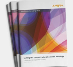 Ambra white paper