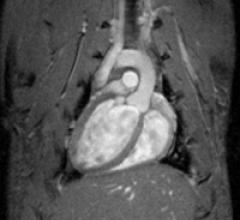 Cardiol Copy