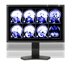 rsna 2013 flat panel monitors nec multisync md242c2