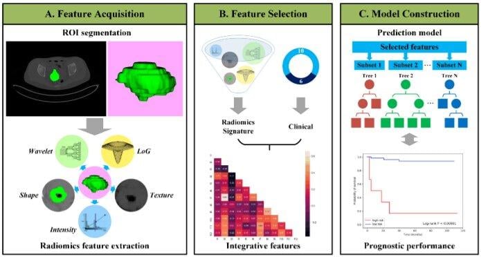 Cancer and AI-based image analysis