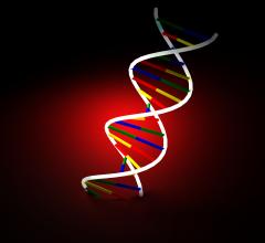 Tumor Radiation Therapy Basic Ions Break DNA