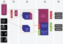 A subset of clinical features with the highest contribution to positive biopsy prediction were fused into a deep neural network (DNN) that was trained on each mammogram for each prediction task.