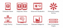 Standards-based interoperability is the key to the use of components critically important to Vital Images’ vision of enterprise imaging